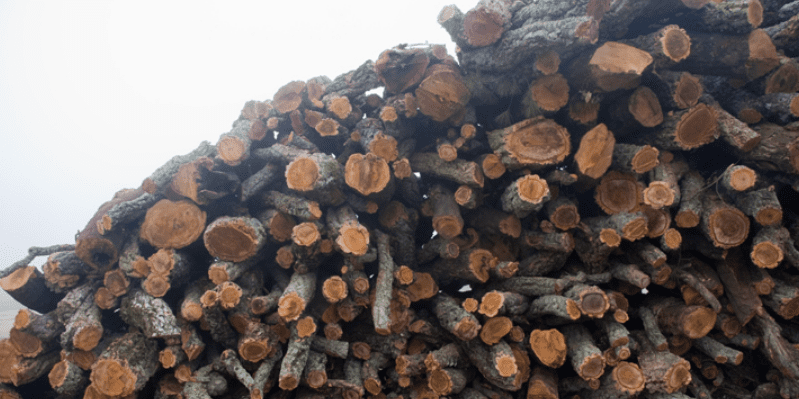 leña apilada
