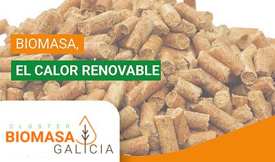 cluster biomasa galicia formacion