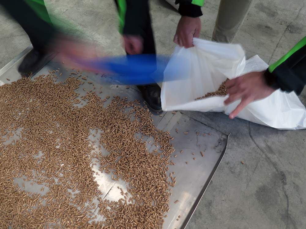 toma muestras inspeccion calidad pellets enplus
