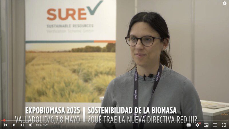 SURE y REDIII junio 2025