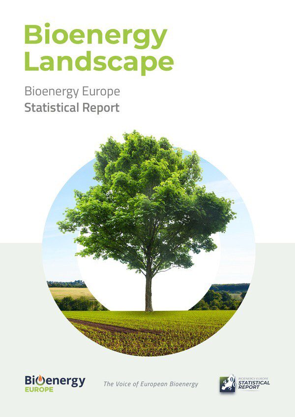 informe bioenergy landscape 2025